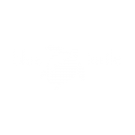 Blue Turtle Logo