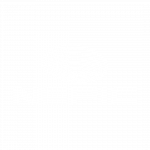 Nepic Logo